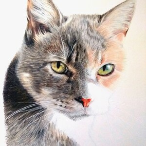 May include: A close-up portrait of a cat with grey, white, and orange fur. The cat has green eyes and a pink nose. The cat is looking directly at the viewer.