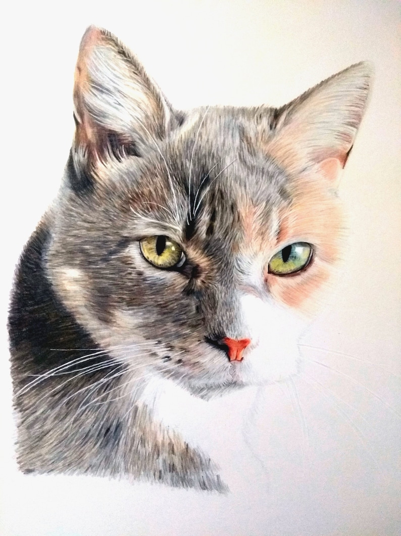 May include: A close-up portrait of a cat with grey, white, and orange fur. The cat has green eyes and a pink nose. The cat is looking directly at the viewer.