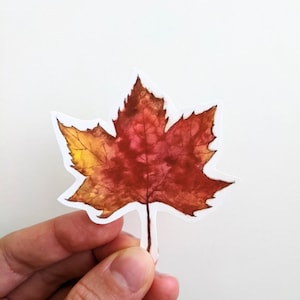 Adesivi autunnali con foglie, adesivi in vinile con foglie d'acero acquerellate, estetica autunnale, per laptop, agende e bottiglie d'acqua