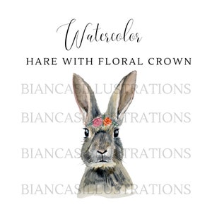 Hare Watercolor Clipart | Hand Painted | Illustration | Graphic | Rabbit Art | Instant Download | Transparent Background | PNG File