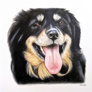 Retrato de mascota personalizado, retrato de mascota dibujado a mano con lápices de colores, obsequio conmemorativo, obsequio para amantes de las mascotas, encargo