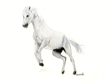 白い馬の絵 | オリジナルアート | 8