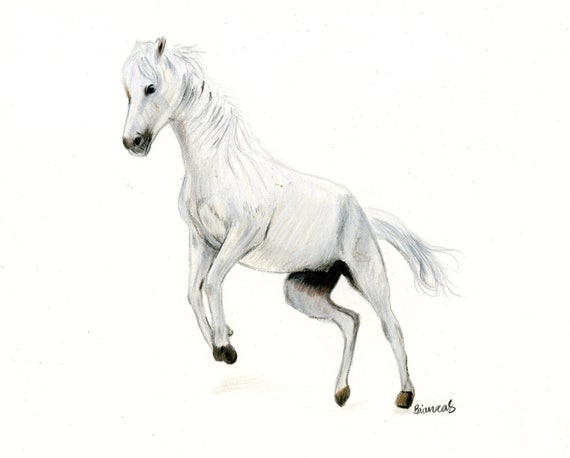 白い馬の絵 | オリジナルアート | 8