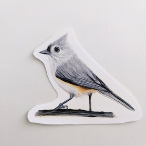 Adesivo de Titmouse Tufted | Adesivo de Vinil | Desenho de Pássaro em Lápis de Cor | Para Laptops, Garrafas de Água, Diários | Adesivo de Vida Selvagem