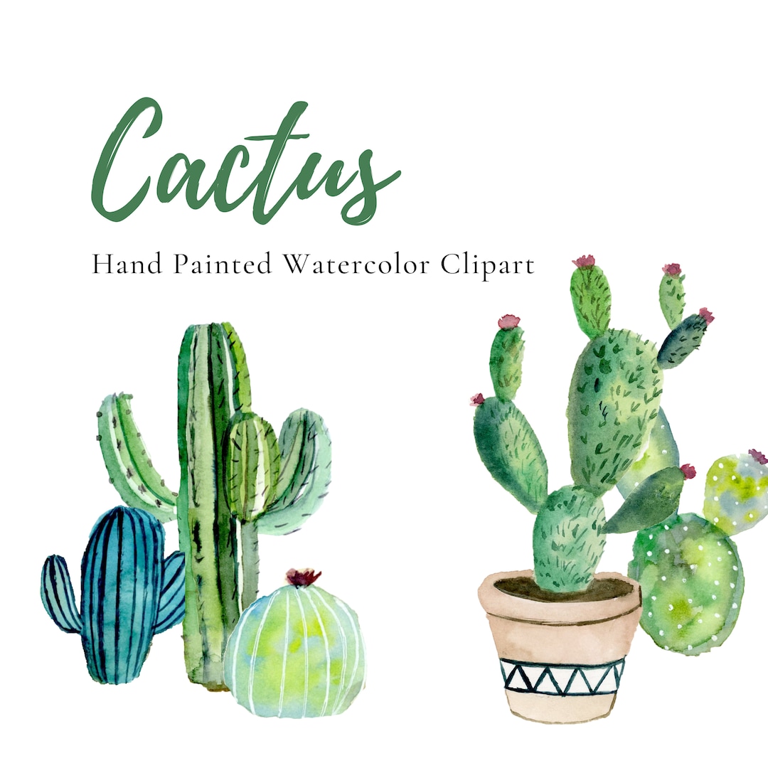 Hand Painted Cactus Clipart, Watercolor Clipart, Succulent ...