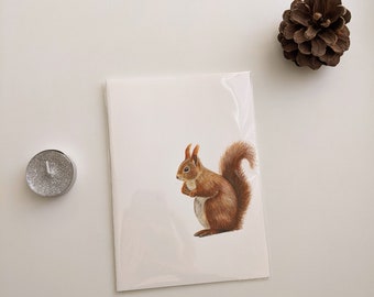 Squirrel Greeting Card, Blank Inside, 5x7, Colored Pencil Drawing, Realistic Squirrel Art