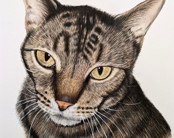 Custom Cat Portrait, Colored Pencil Cat Portrait, Cat Memorial, Cat Portrait Art, Custom Pet Art, Personalized Cat Painting