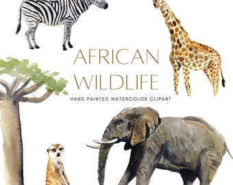 Afrikanische Tiere Clipart, Wild Animals of Africa Illustrationen, PNG Elements, Zebra, Gepard, Giraffe, Elefant, Digitaler Download