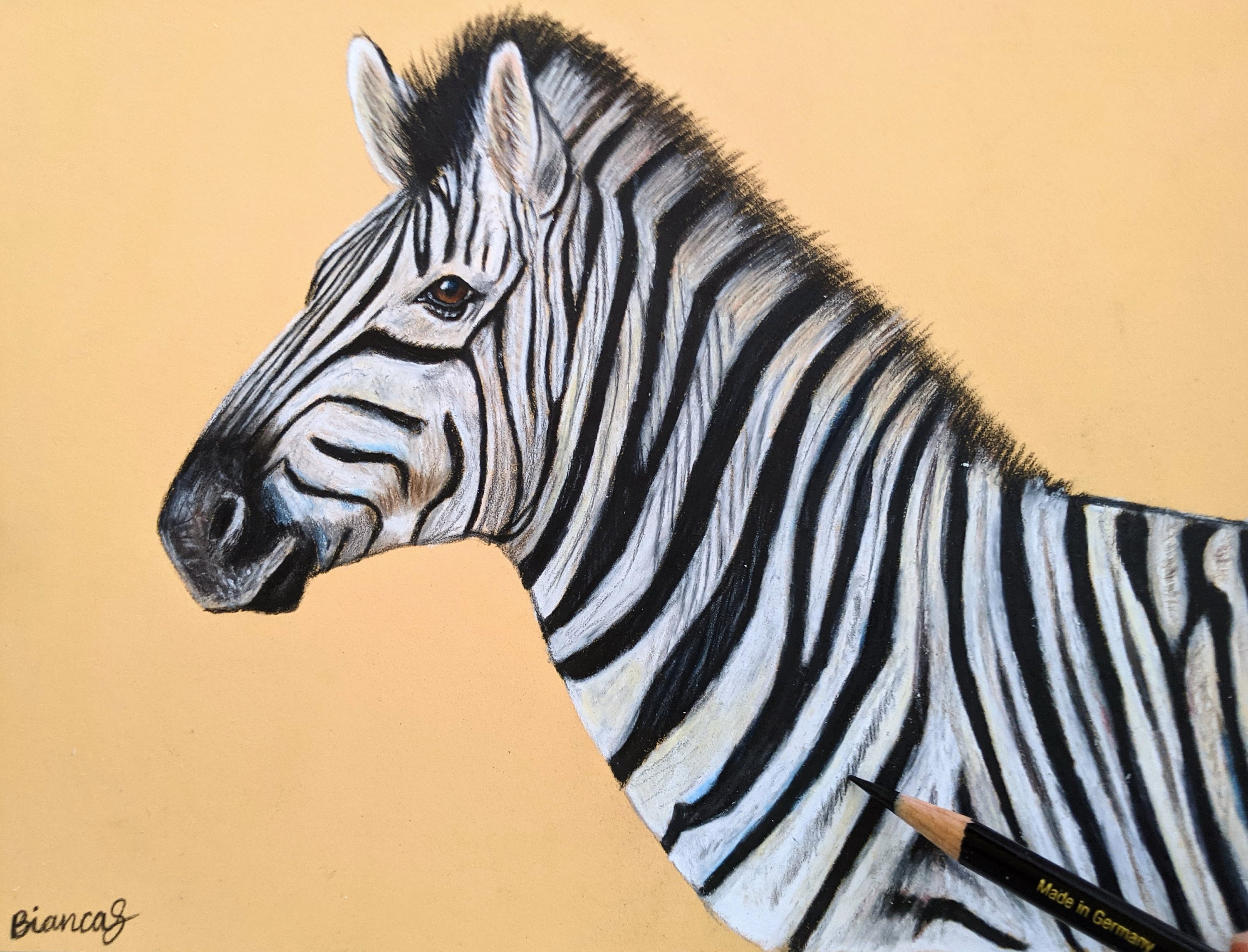 横尾美美/mimi yokoo | 「Baby Zebra」 2007年 33×33cm