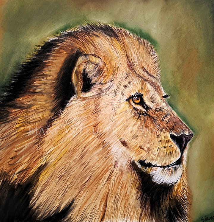 Lion For Children Pastel Chalk Drawing Canvas Print / Canvas Art