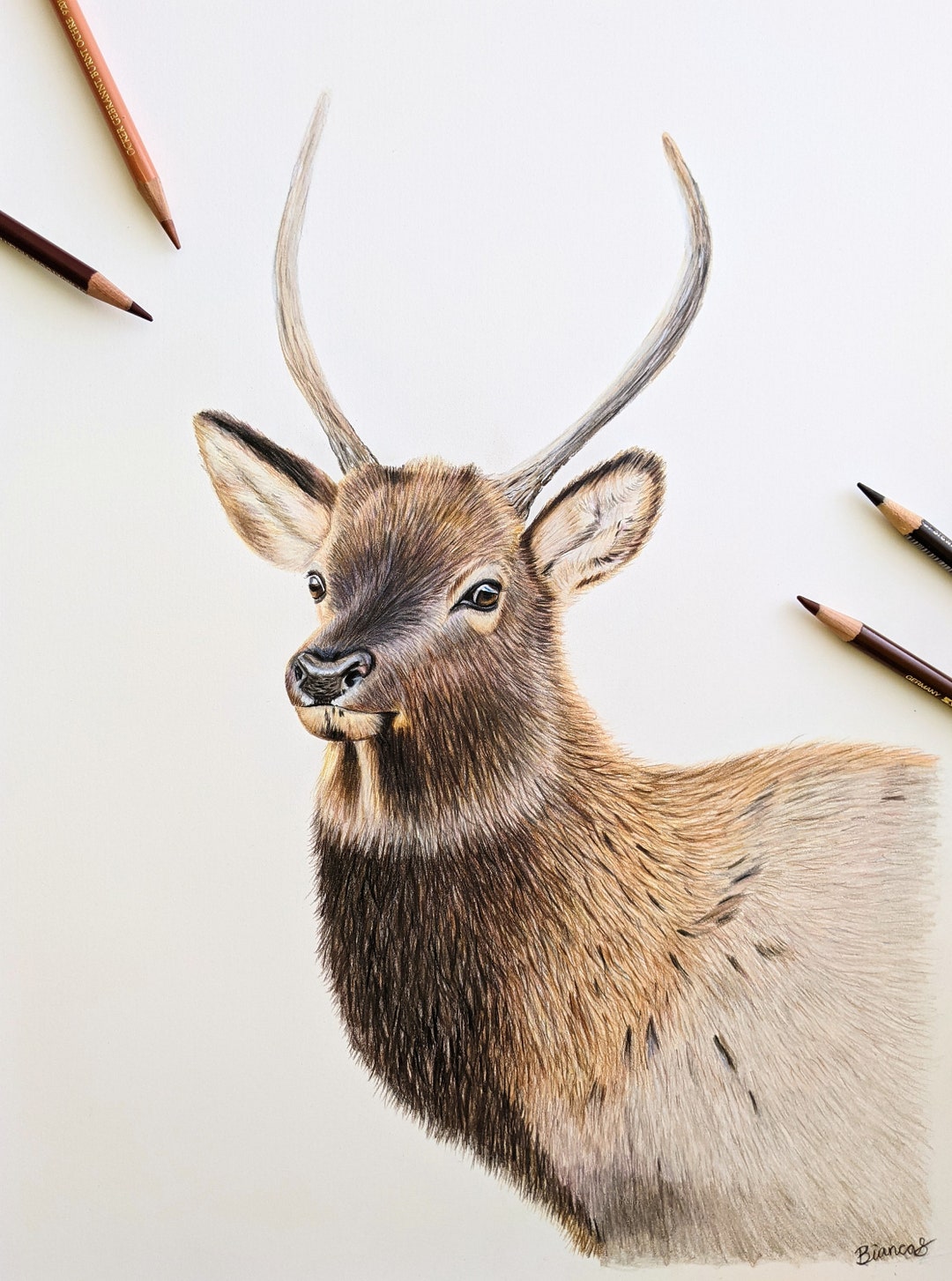 F10 油絵『鹿の骨の習作』 F10 油絵『鹿の骨の習作』 Amazon.co.jp: Canorna 油絵 【鹿