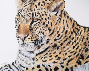 ヒョウの色鉛筆画 - Etsy 日本