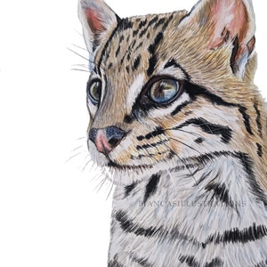 | de dessin Ocelot | d’illustrations ORIGINALES | dessinée à la main 8&quot;x10 » Pastel Artwork | | d’art animalier Peinture de chat sauvage