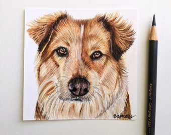 Custom Colored Pencil Pet Portraits Realistic Dog and Cat - Etsy Custom Colored Pencil Pet Portraits Realistic Dog and Cat - Etsy