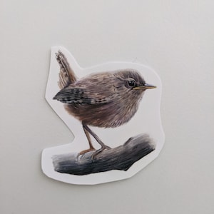Sticker troglodyte de Zazzle.be Liste d'envies Vous avez des idées ? autocollant d'oiseau | Sticker oiseau crayon de couleur | Autocollant en vinyle | Pour bouteilles d'eau, ordinateurs portables, journaux
