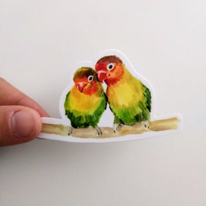 Pegatinas de agapornis, pegatinas de vinilo para pájaros, impermeables y resistentes a la intemperie, para computadoras portátiles, planificadores, diarios, etc.