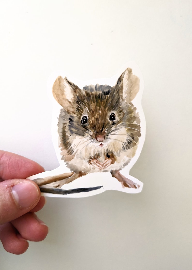 Mouse Pattern Sticker Mouse Stickers, Adorable Mouse Vinyl Stickers, for Water Bottles and ...