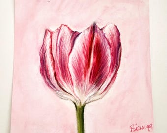 Tulip Drawing | Original Art | Hand Drawn | 4.5"x4.5"