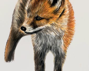 オウムの絵 | 5インチ×7インチのオリジナルアート | 色鉛筆アート