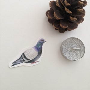 Autocollants en vinyle pour pigeons | Stickers oiseaux crayons de couleur | Art d'oiseau | Cadeau pour les amoureux de la nature | Faune sauvage | Pour ordinateurs portables, journaux, bouteilles d'eau