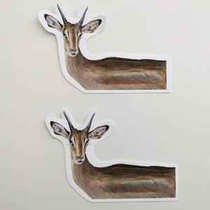 Cervos do Impala <br>de <br> Promoção Relâmpago! Adesivo de vinil | Arte em lápis colorido | Para garrafas de água, laptops, planejadores