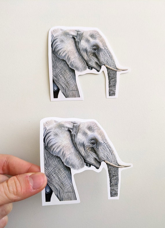 Elephant Sticker Colored Pencil Elephant Vinyl Stickers for Etsy