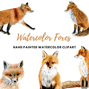 5 Watercolor Foxes Clipart, Cute Fox Clipart, Commercial Use, Woodland Animals, Nursery Art, Digital Downloads, Clipart Set