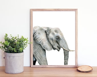 Fine Art Print 'Jumbo', Elephant Colored Pencil Print, 8"x10"