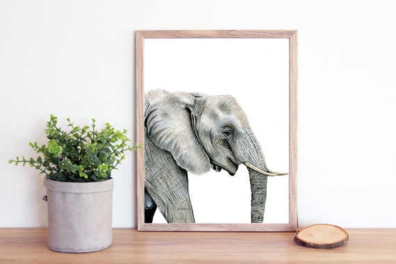 Fine Art Print 'jumbo', Elephant Colored Pencil Print, 8
