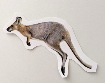 Kangaroo Sticker | Vinyl Sticker | Colored Pencil Kangaroo Drawing | For Water Bottles, Laptops, Journals