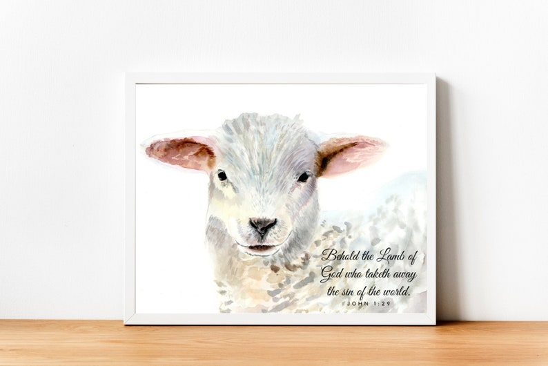 May include: A watercolor painting of a white lamb with pink ears. The lamb is looking directly at the viewer. The text "Behold the Lamb of God who taketh away the sin of the world. JOHN 1:29" is written below the lamb.