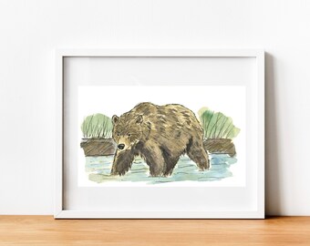 May include: A watercolor illustration of a brown bear walking through a stream. The bear is facing the viewer and has a brown coat with a light brown muzzle. The stream is a light blue color and there are green plants on either side of the stream.