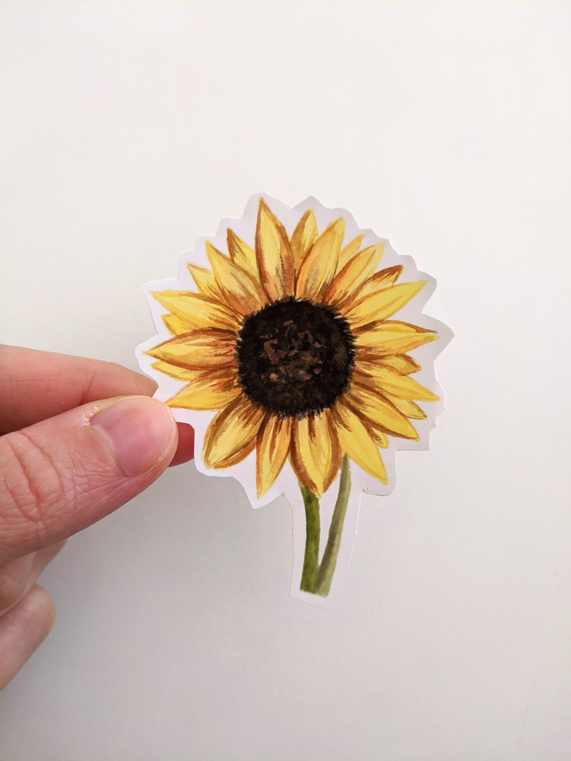 Sunflower Vinyl Sticker Hand painted Floral Sticker For Etsy