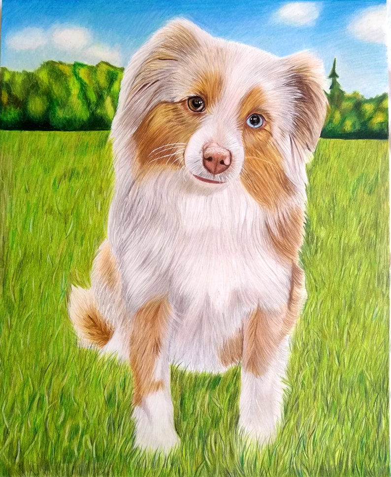 May include: A painting of a brown and white Australian Shepherd dog sitting on green grass. The dog has blue and brown eyes and is looking directly at the viewer.