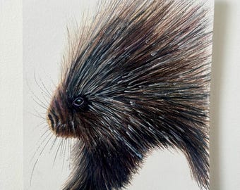 Porcupine Original Drawing | Colored Pencil Artwork | Hand Drawn 9"x7"