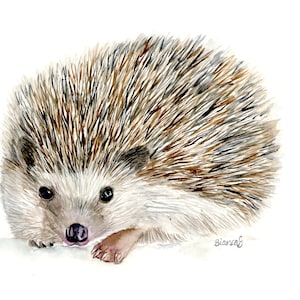 Hedgehog PRINT, Watercolor Hedgehog, Woodland Art Print, 8&quot;x10&quot; Nursery Wall Decor
