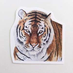 Tiger Sticker | Buntstift Tiger | Vinyl Sticker | Für Wasserflaschen, Laptops, Journals | Geschenk für Wildtierliebhaber