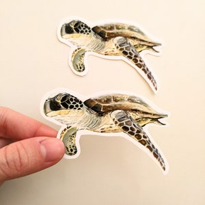 Autocollants de tortue de mer, autocollant de tortue de vinyle d'aquarelle, pour des bouteilles d'eau, des ordinateurs portables et des revues