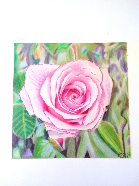 Colored Pencil Rose Drawing Original Artwork Aesthetic Hand Etsy