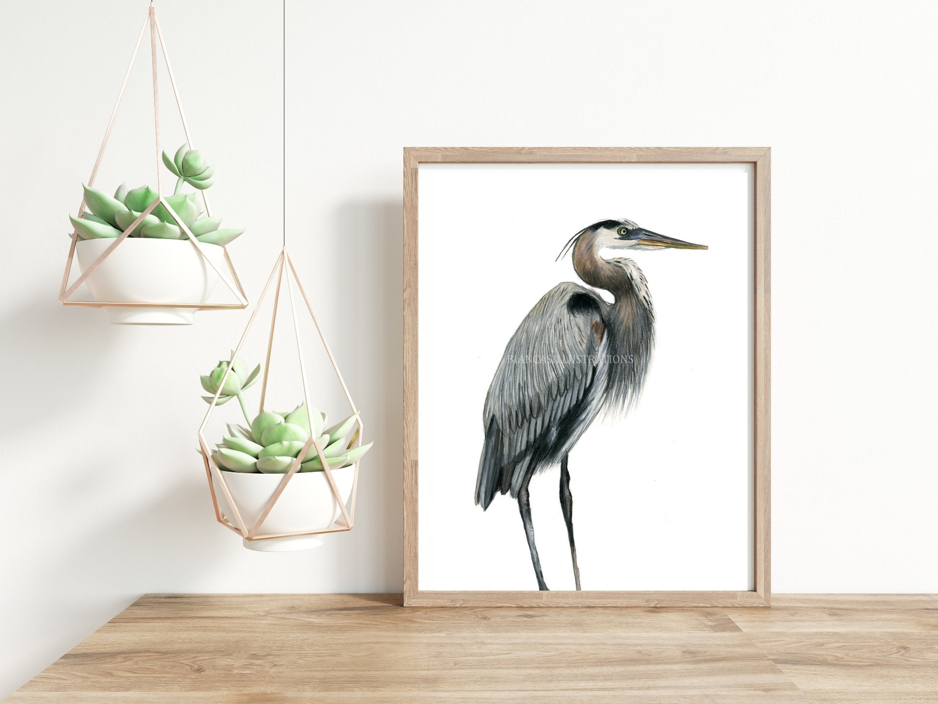 アオサギの絵 | オリジナルアートワーク | 手描きイラスト | 鳥の