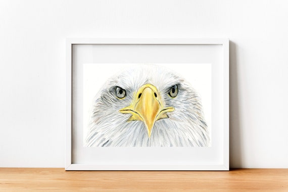 Dibujo de águila a lápiz de color / Arte ORIGINAL / - Etsy España Dibujo de águila a lápiz de color / Arte ORIGINAL / - Etsy España