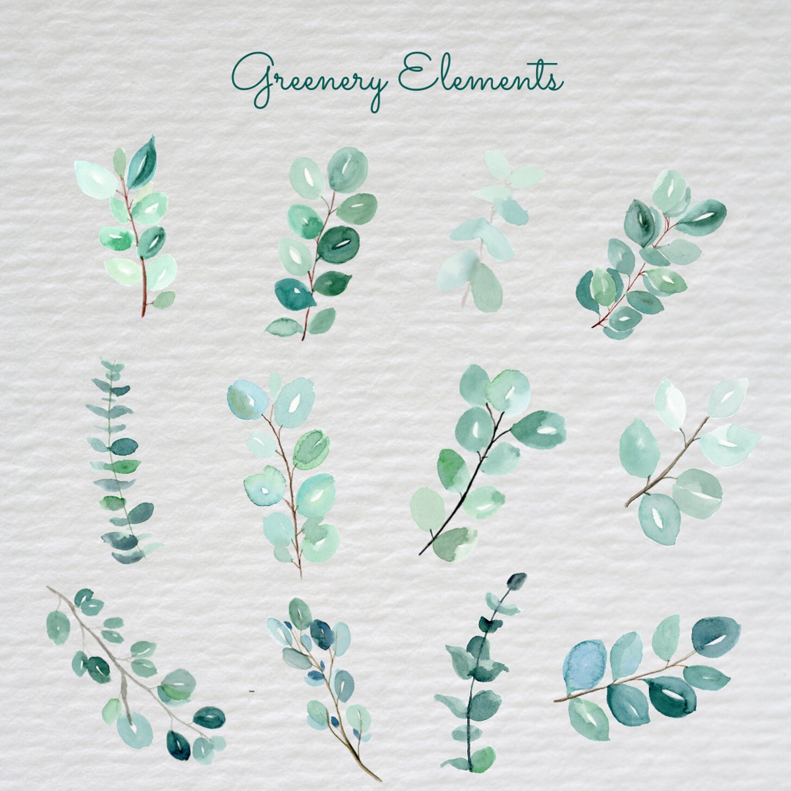 Eucalyptus Greenery Watercolor Clip Art, Green Foliage Wedding ...