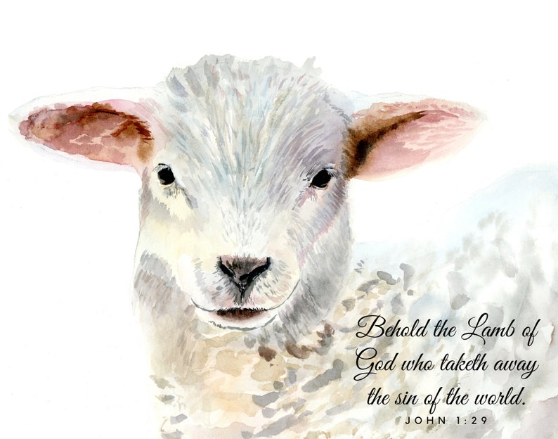 May include: Watercolor painting of a white lamb with a soft, gentle expression. The painting includes the text "Behold the Lamb of God who taketh away the sin of the world. JOHN 1:29".