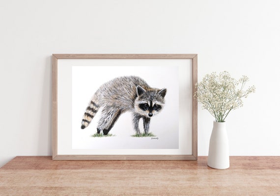 アライグマの絵、色鉛筆アートワーク、手描きイラスト、8