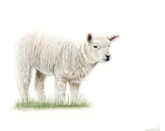 Lamb Drawing | ORIGINAL Artwork | Hand Drawn | 8"x10" | Wall Decor