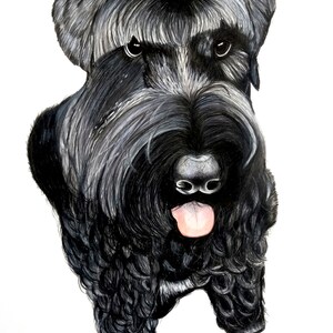 May include: A black and white illustration of a Schnauzer dog with a pink tongue sticking out. The dog has a serious expression and is looking directly at the viewer.