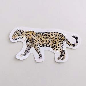 Pegatina de jaguar / Pegatina de acuarela / Pegatina de vida silvestre / Para botellas de agua, portátiles y diarios