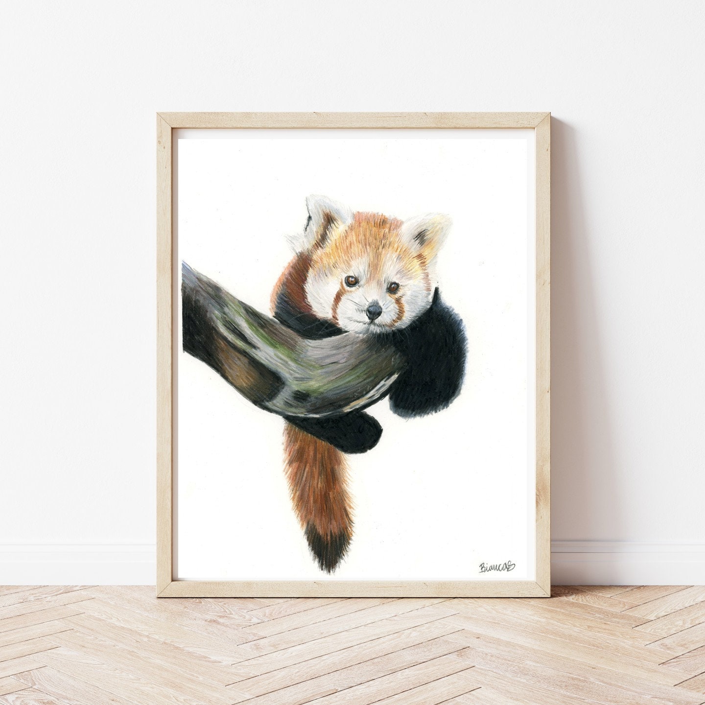 Red Panda Drawing | Wildlife Art | Hand Drawn | Animal