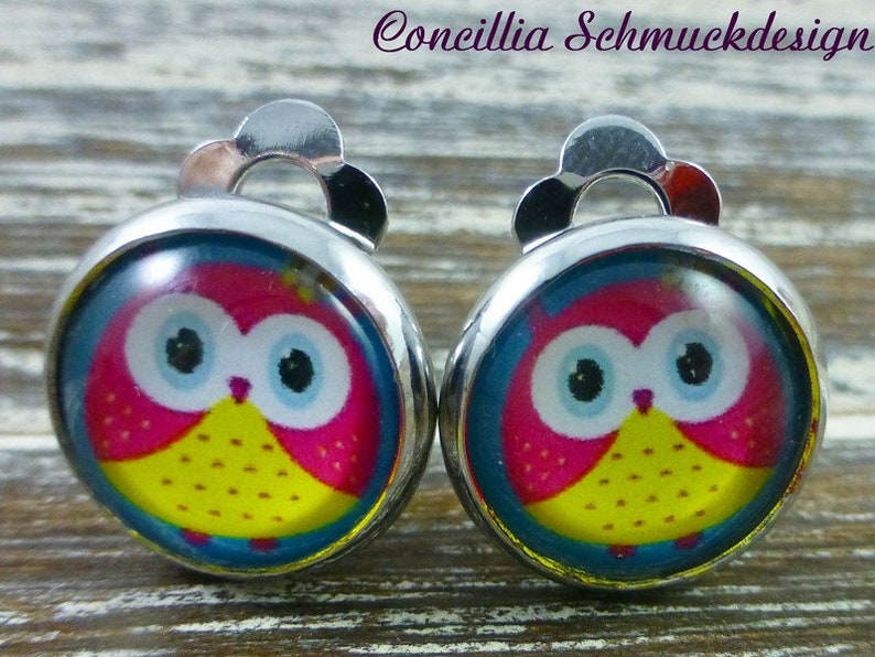 Clip Earrings Colorful Owl