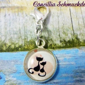 Charm Katzen
